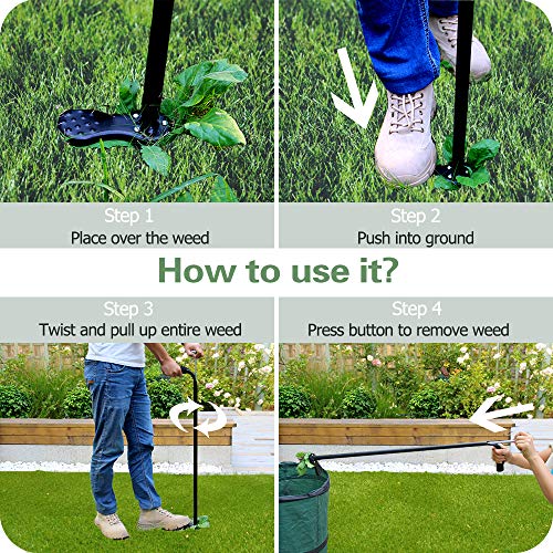 Homes Garden Upgrade Stand-Up Weeder 37