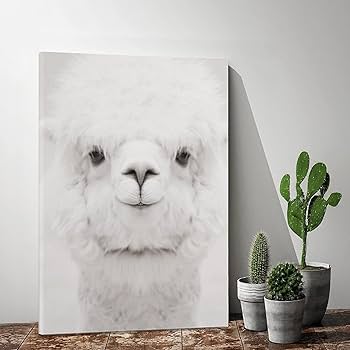 絵画 ARUPAKA Amazon.co.jp: PYFXSALA 動物 アルパカ 笑顔 アルパカ