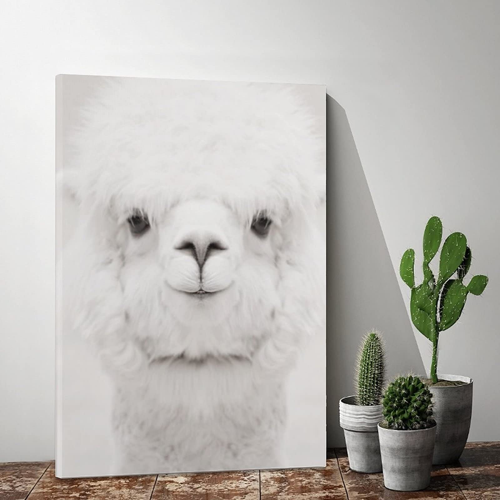 アルパカ 動物 絵画 インテリア お花 F4 33.3x24.2 Amazon.co.jp: PYFXSALA 動物 アルパカ 笑顔 アルパカ ポスター 14