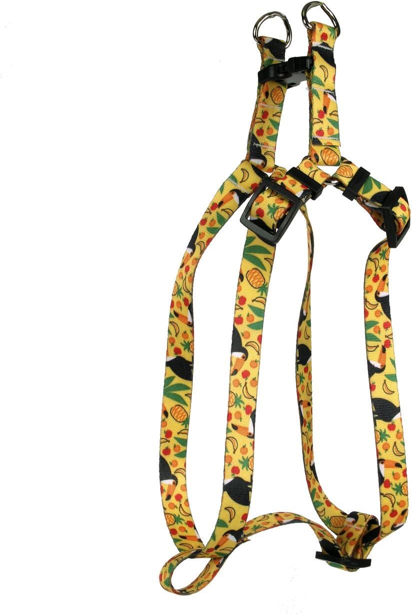 Yellow Dog Design Standard Step-In Harness, Tribal Seas Green, Medium 15" - 25"