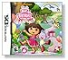 Dora the Explorer: Dora's Big Birthday Adventure - Nintendo DS