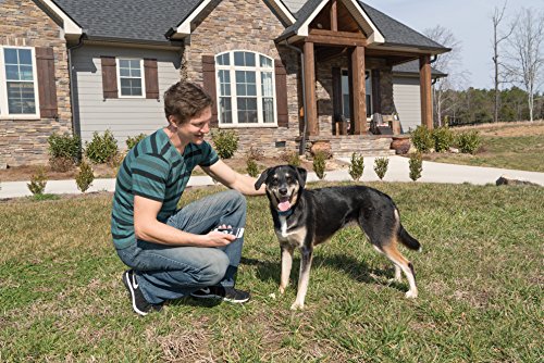 Conseils d’utilisation du collier PetSafe Smart Dog