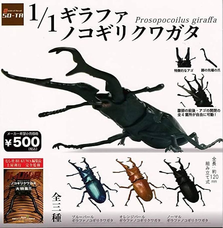 Amazon.co.jp: 1/1 ギラファノコギリクワガタ 全3種セット SO-TA : DIY