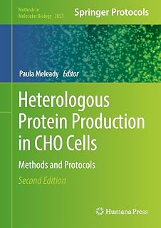 Heterologous Protein Production in CHO Cells: Methods and Protocols (Methods in Molecular Biology, 2853, Band 2853)