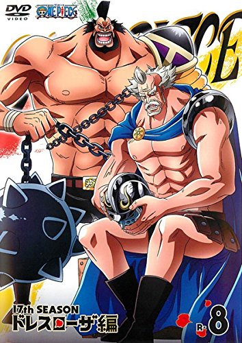 ONE PIECE ワンピース 17thシーズン ドレスローザ編 R-8