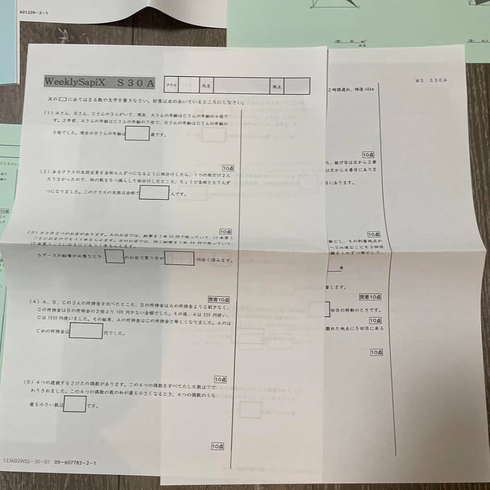 SAPIX6年 ウィークリーSAPIX算数(2~30) Amazon.co.jp: SAPIX6年算数 ウィークリーSAPIX WS30 品