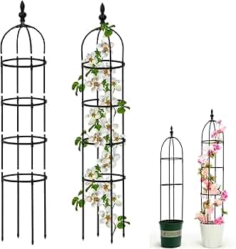 Amazon | LIIHIU オベリスク 支柱 トレリス 園芸 ガーデニング 朝顔 庭