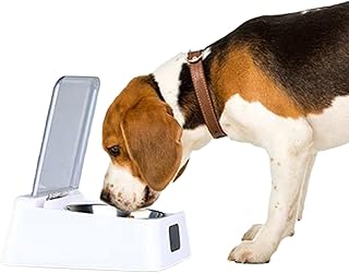 amazon cat feeder chip