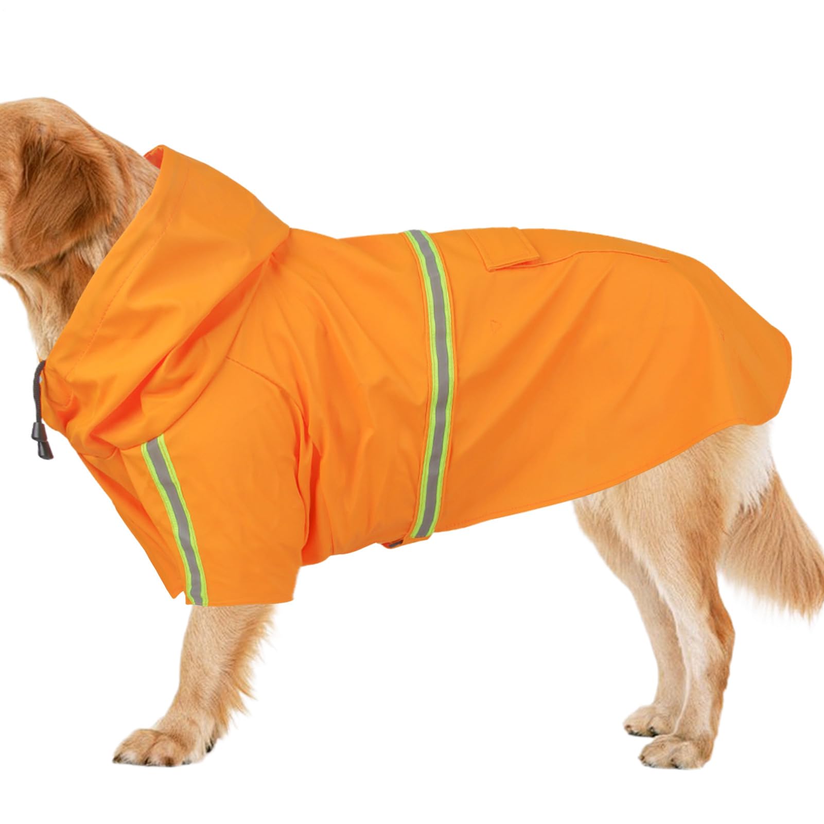Poncho imperméable pour chien résistant pour éviter les poils mouillés