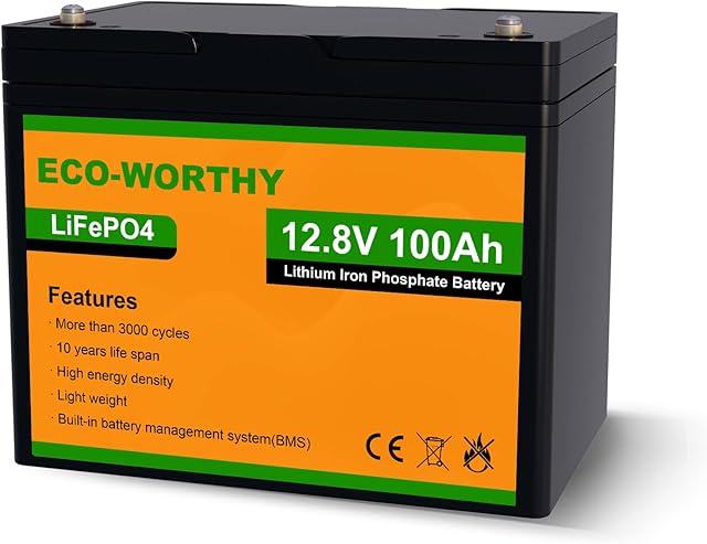 ECO-WORTHY 100Ah 12.8V LiFePO4 Battery Emergency Power Backup Rechargeable Lithium Iron Phosphate with 3000+ Deep Cycles and BMS Protection, Perfect for rv, Boat, Marine, Solar Panel System