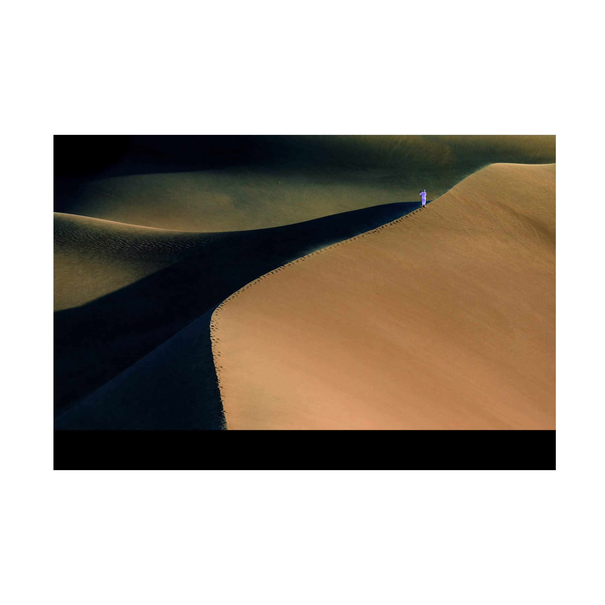 Trademark Fine Art 'Passenger Ii' Canvas Art by Mohammad Shefaa