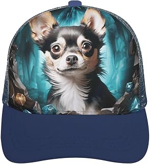 Gem Cave Chihuahua Trucker Hat Baseball Cap Hat Golf Hat Running Hat Fishing Hat Gym Hat Workout Hat Fender Hat