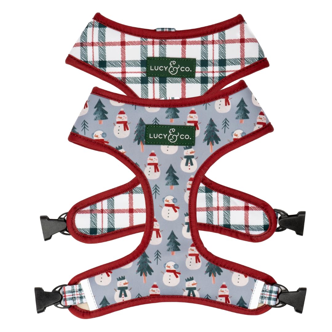 Lucy & Co. Cute Reversible Dog Harness Walking Halter - Best Designer Pet Harnesses for XS - XL Dogs - Padded Adjustable Vest for Easy Walking-X-Small-Gray & White Snowman โ image 1