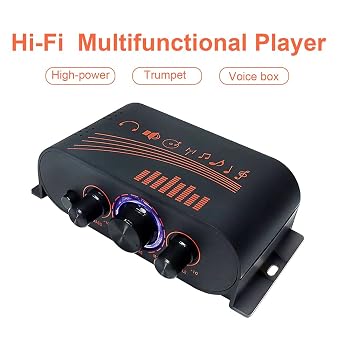 AK170 Audio Power Amplifier, DC 12V 2 X 20W 2 Channel