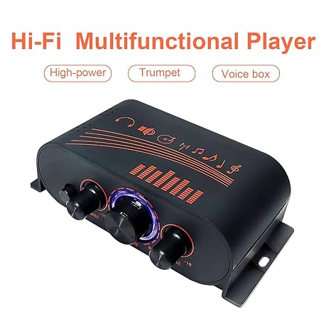 AK170 Audio Power Amplifier, DC 12V 2 X 20W 2 Channel