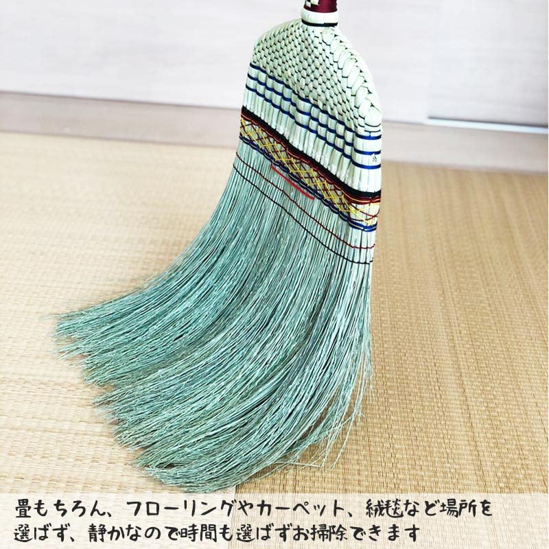 座敷羽帚 座敷羽帚
