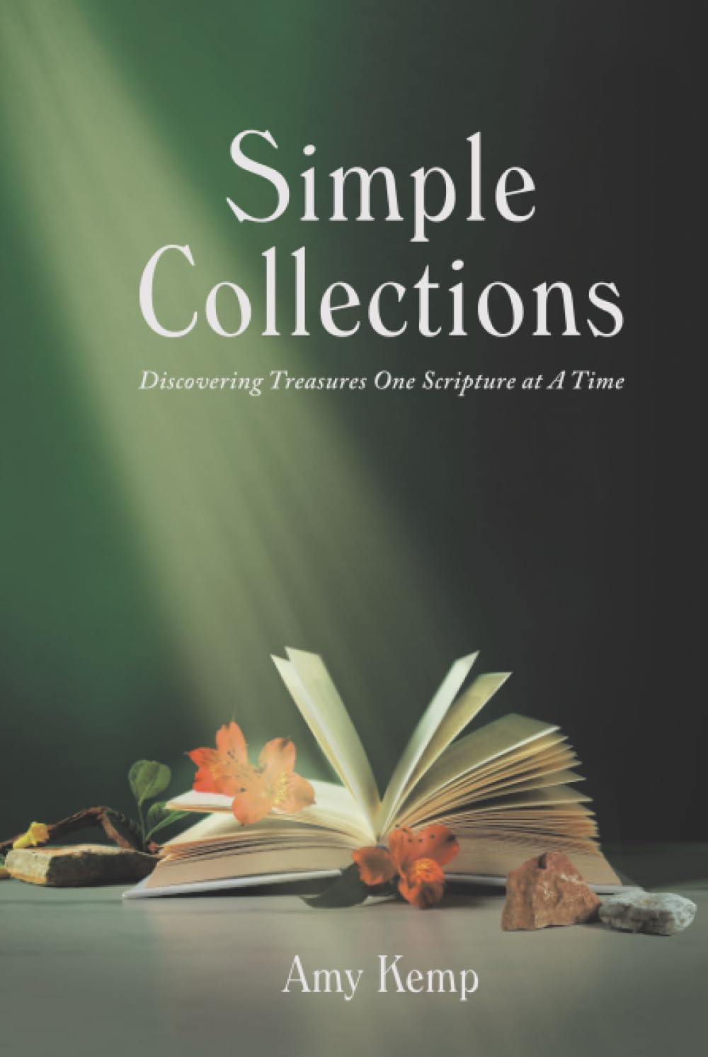 Simple Collections: Discovering Treasures One Scripture at A Time