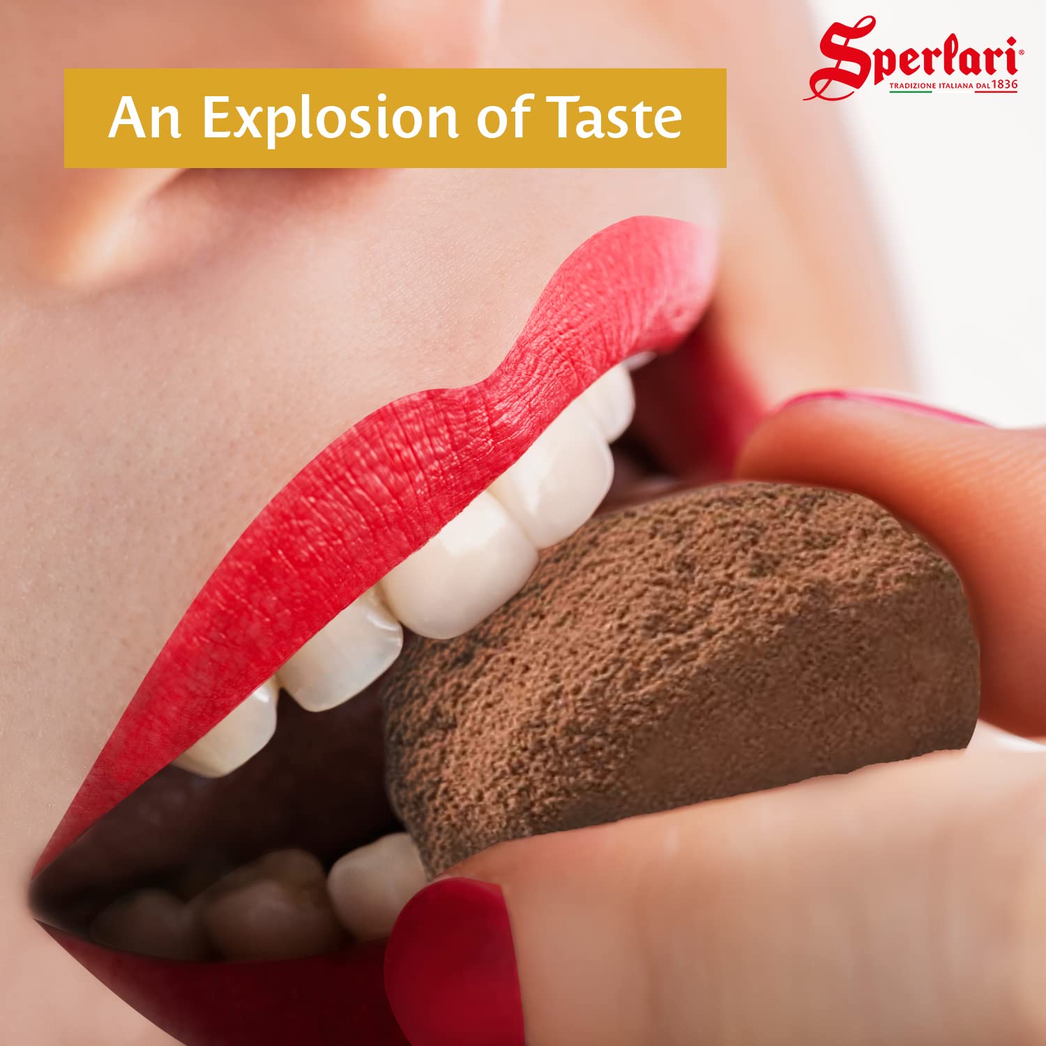 Sperlari Chocolate Truffles (Tartufi Assortiti, 8.8 Ounce (Pack of 1))