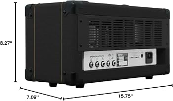 Amazon.com: Orange OR15 15-Watt Single Channel, Compact Tube