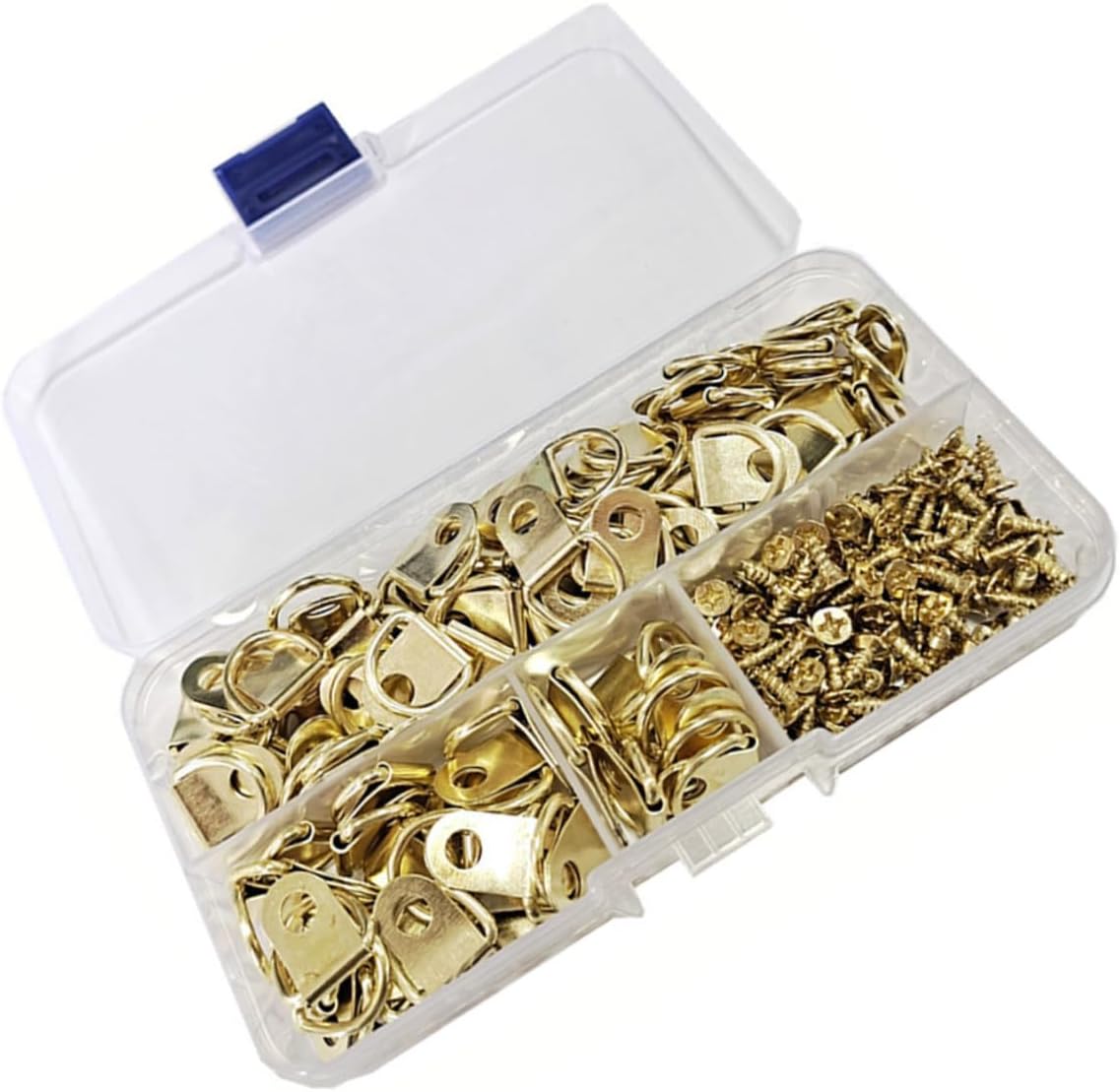 100pcs D-Ring Picture Hangers with Screws, Metal Wall Hooks for Hanging Picture Frames and Canvas, Small Wall Mount Hardware Kit for Home Decor and Gallery Display