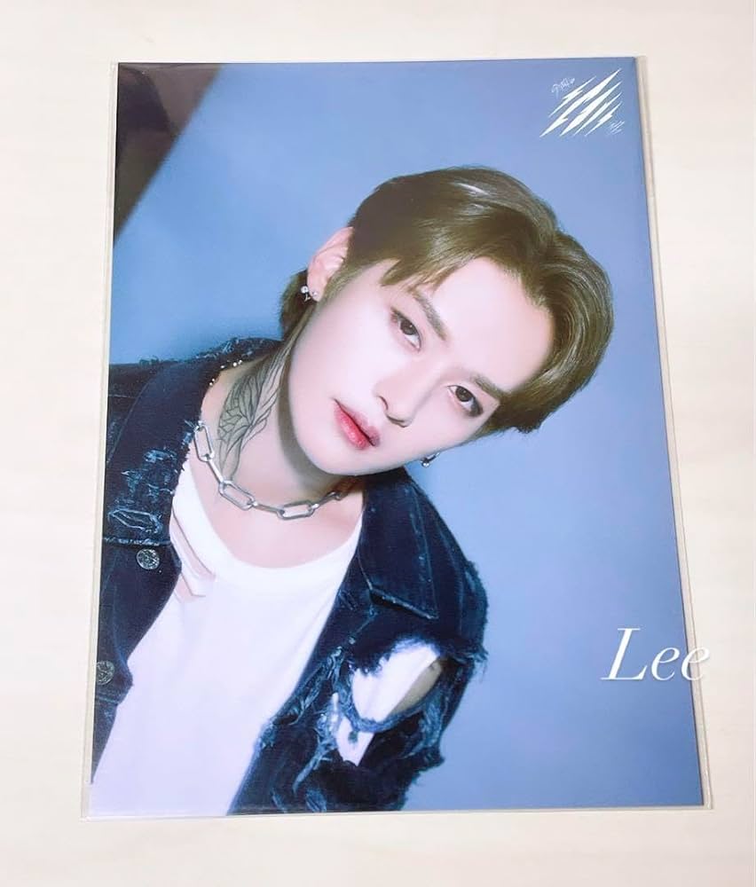 StrayKids スキズ リノ ソリクン/Scars タワレコ B賞 チェキ 【公式通販】