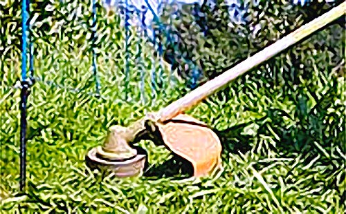 Nastro di segnalazione per WildNet, lunghezza 250