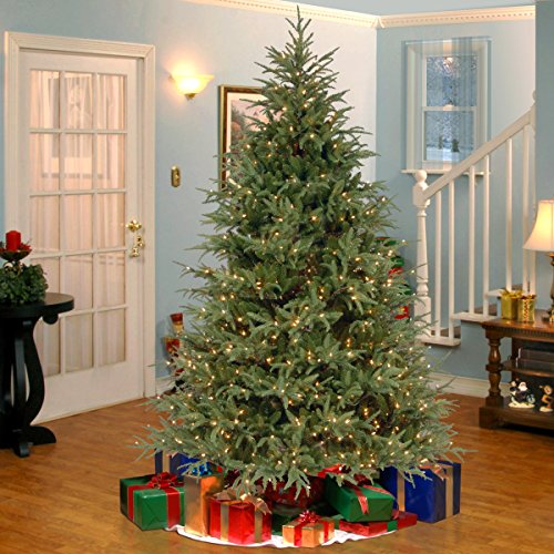 National Tree Company Pre-Lit 'Feel Real' Artificial Full Christmas Tree, Green, Frasier Grande, White Lights, Includes Stand, 6.5 Feet #TOP4