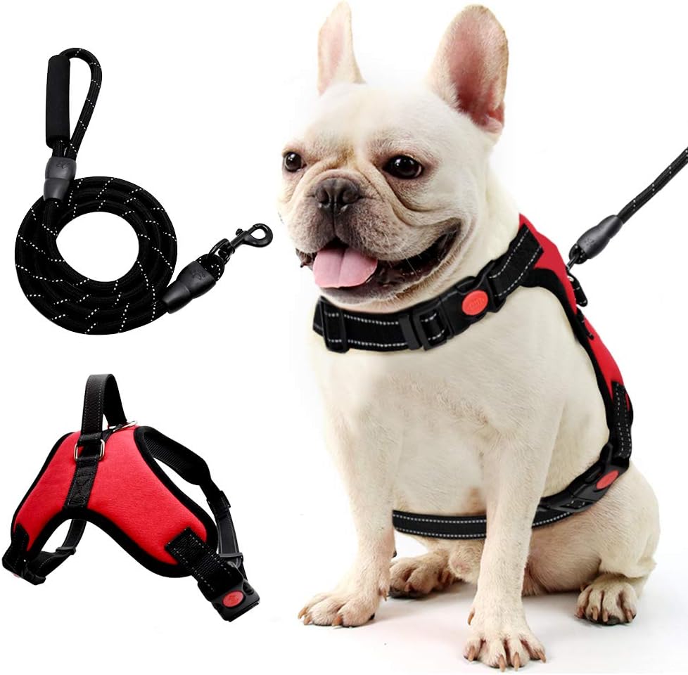 Leash Set Step-in Dog Harness,Dog Harness, Adjustable Soft Padded Dog Vest,Band with A Free Heavy Duty 5ft Dog Leash-(S)
