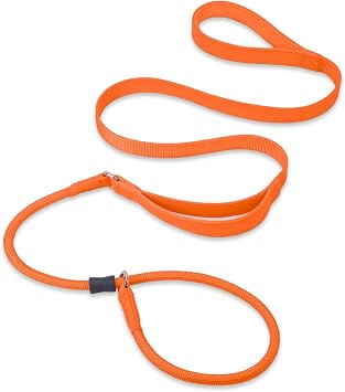 Slip Lead Dog Leash, Double Handle, Soft Leather, Heavy Duty Nylon, No Pull Walking, Medium Large Small Dogs, 5ft Orange