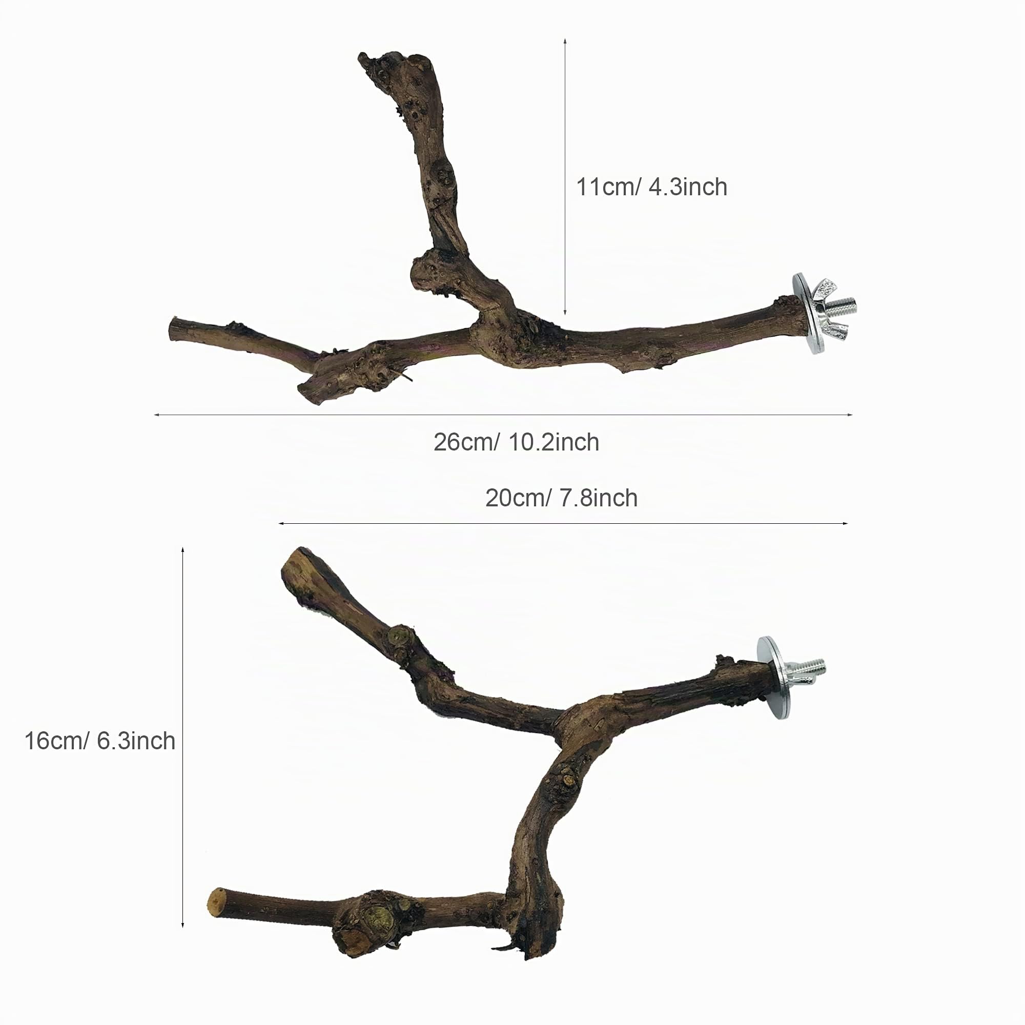 4 Pz Giocattolo per Pappagalli, Ramo D'uva Naturale Giocattolo per Uccelli, Trespolo Posatoio Supporti per Uccelli in Legno Naturale per Piccolo Medi Pappagalli