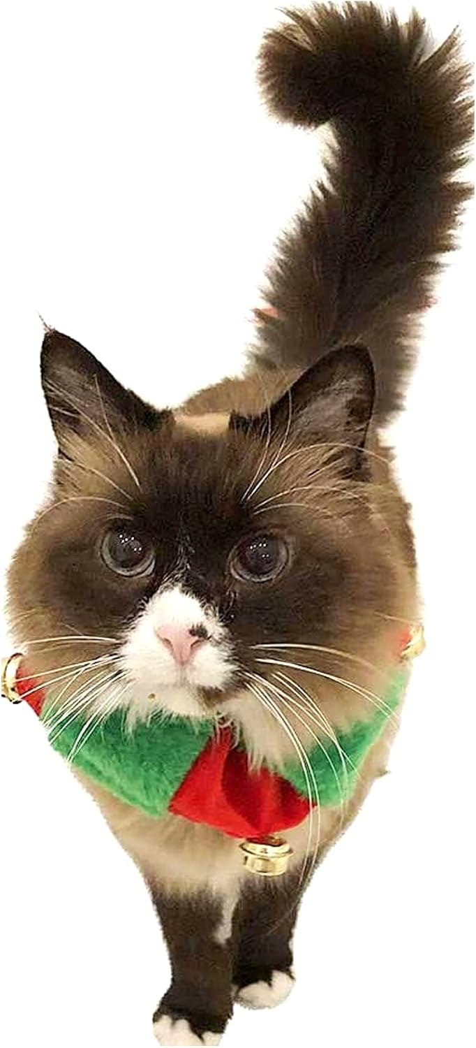 Midlee Red/Green Christmas Plush Bell Collar (Small)