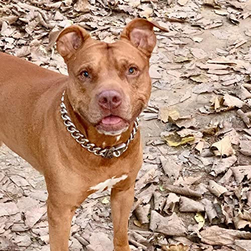 YOTHIWAD Hundehalsband aus Metall mit Sicherer Schnalle,Ketten Halsband Hund, Kubanische Gliederkette, Edelstahl Starke Schwerlast kaubeständig Gehtrainingshalsband für Hunde(40cm)
