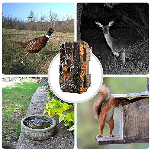 Foto von usogood Wildkamera 4k/30fps, 30MP Wildkamera WLAN Bluetooth APP, Wildtierkamera mit Bewegungsmelder Nachtsicht Handyübertragung, Jagdkamera, 120° Einstellbarer Weitwinkel, IP66 Wasserdicht