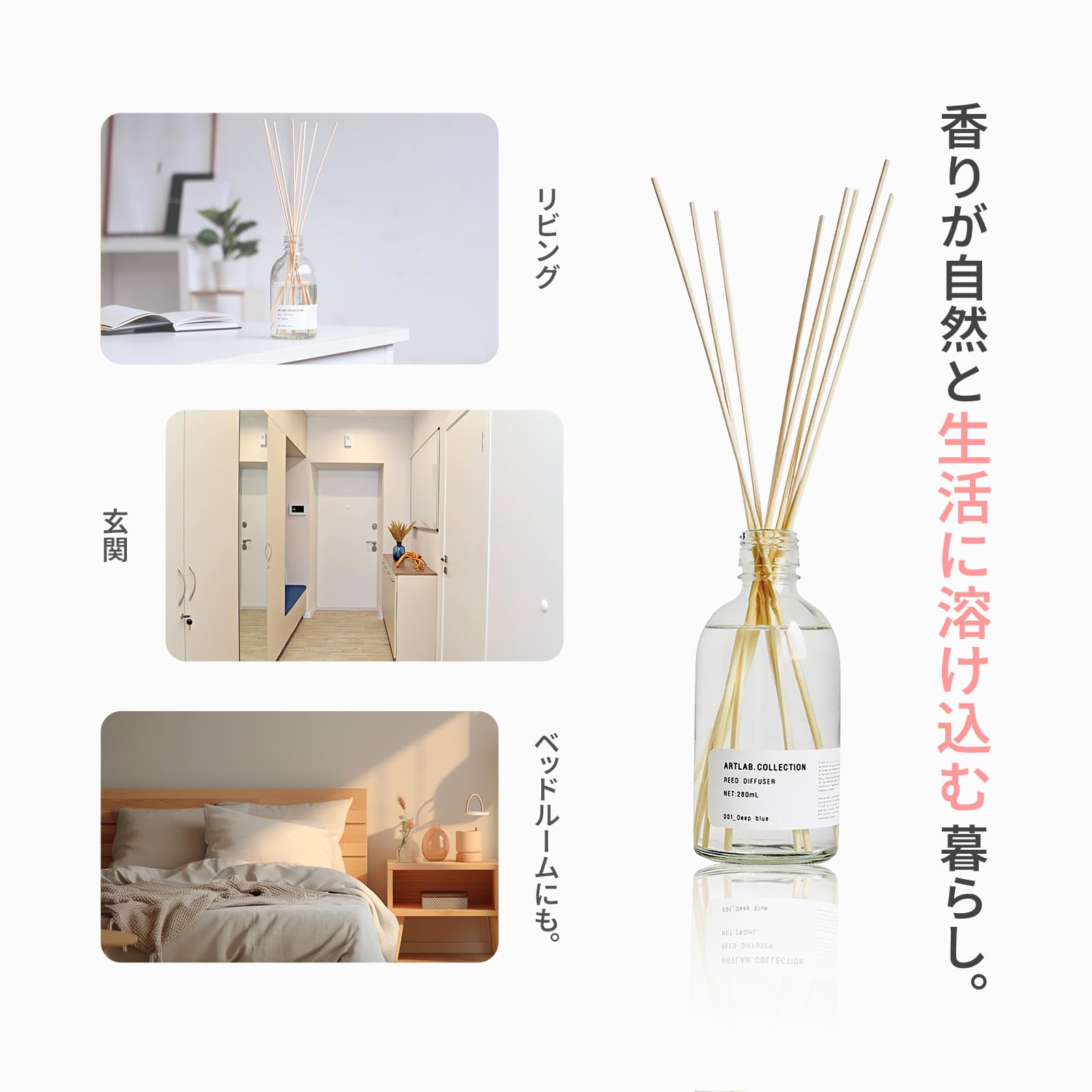 Amazon | ARTLAB.COLLECTION(アート・ラボ コレクション) リード