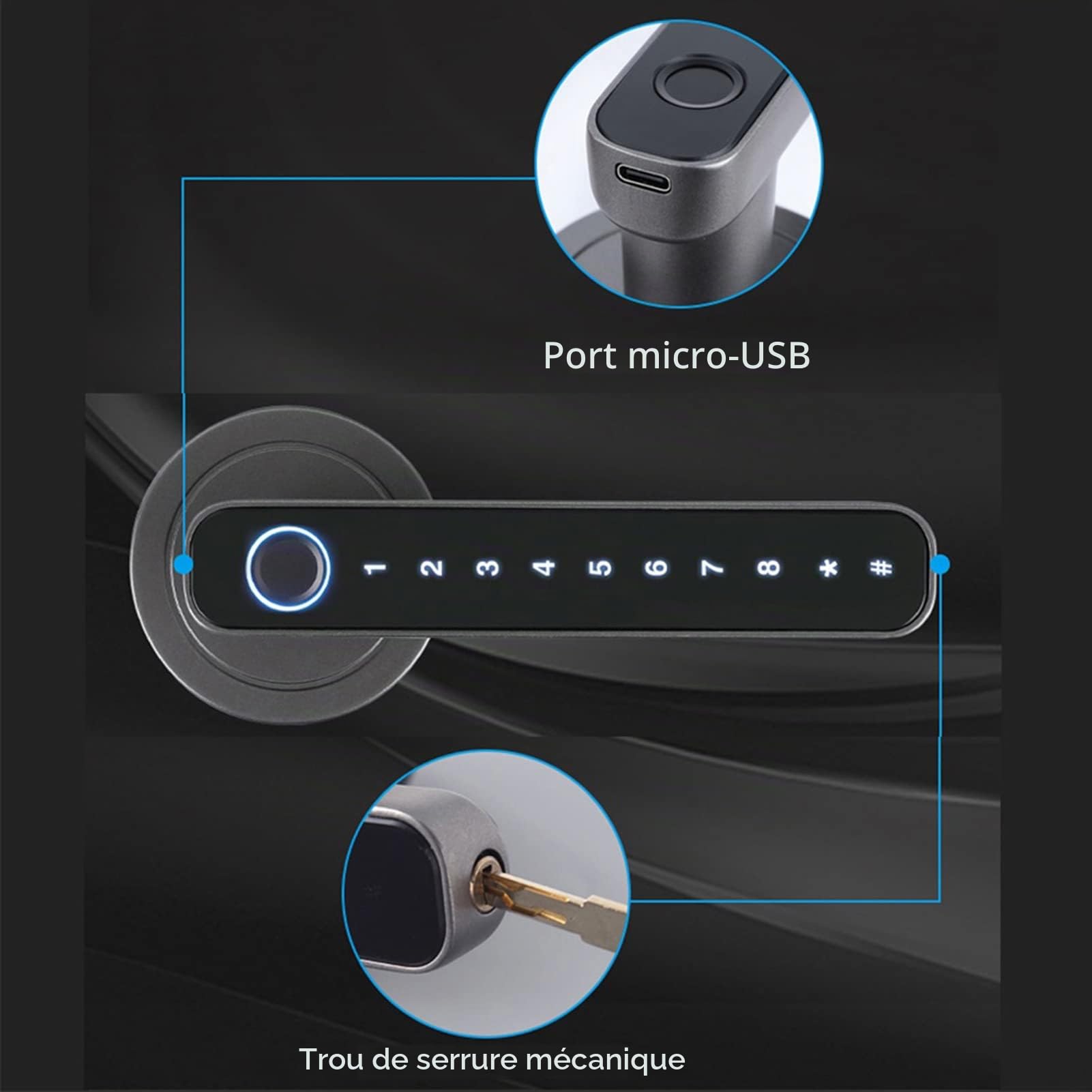 Serrure de porte intelligente à empreinte digitale, Serrure de porte d'entrée biométrique sans clé à empreinte digitale, 4 façons déverrouillées Tuya BT Connexion APP Mot de passe