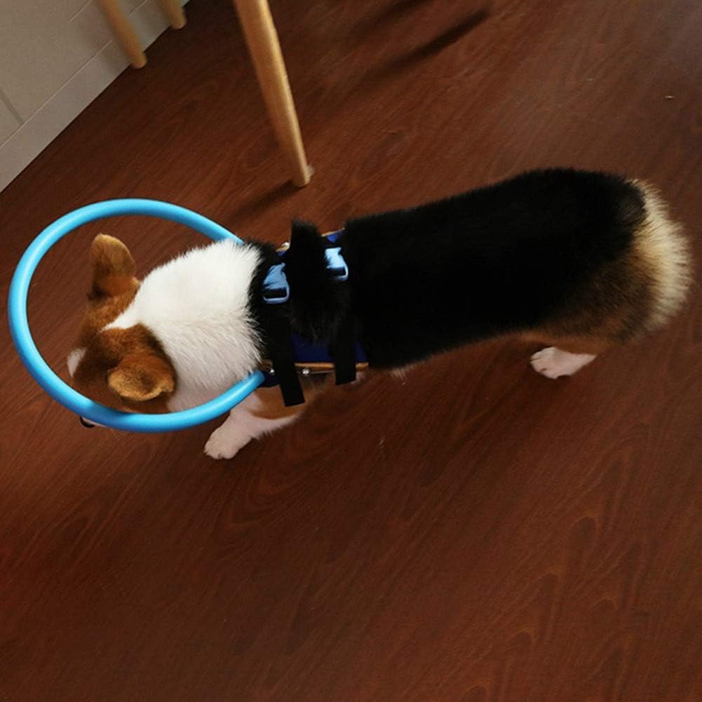 blind dog bumper collar amazon