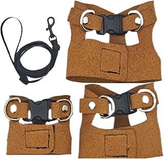 Arnés De Cableado Y Cuerda De Tracción Para Dragón Barbudo, Platos Y Correa Para Reptiles | Cómodas Cuerdas De Tracción Lagarto, Pequeños Suministros Para Mascotas Para Camaleones, Ardillas, Hámsters,
