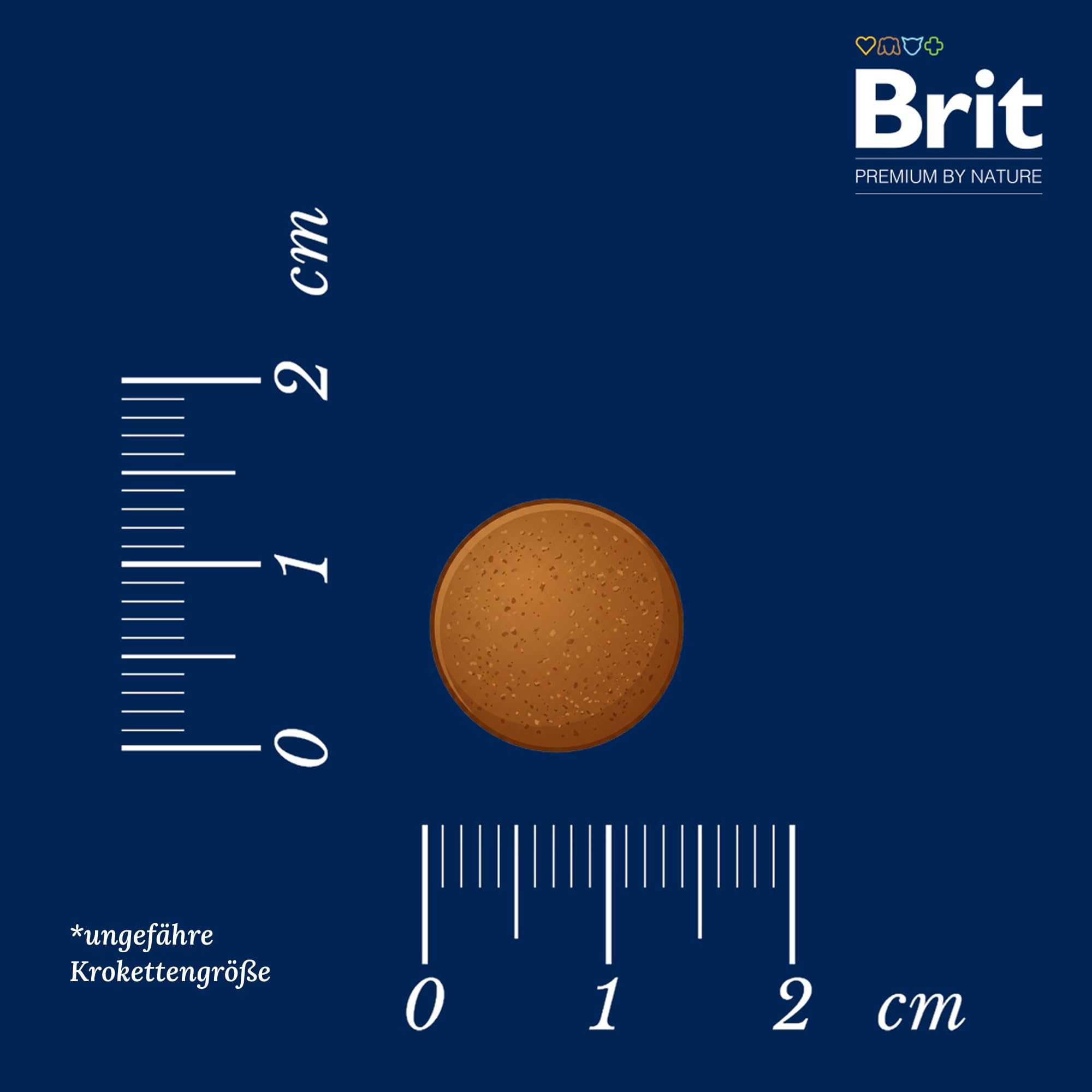 Brit Premium by Nature Senior S+M