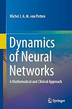 Dynamics of Neural Networks: A Mathematical and Clinical Approach