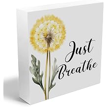 Just Breathe Decorative Wooden Box Sign, dandelion Inspirational Quotes Deco Rustic Farmhouse Home Office Shelf Table Decorations Wood Block Plaque