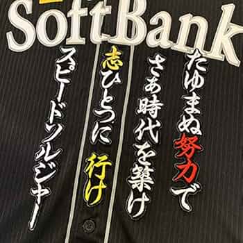 61O2qEjubuL._AC_UF350,