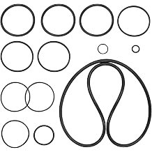 R0357800 & R0358000  & O  Jandy Zodiac CL460 CL580 DEV48 DEV60 DEL60 CV340 CV460 CV580 CL340 Jand O  y Zodiac DE DEDE  L DEV CL CV