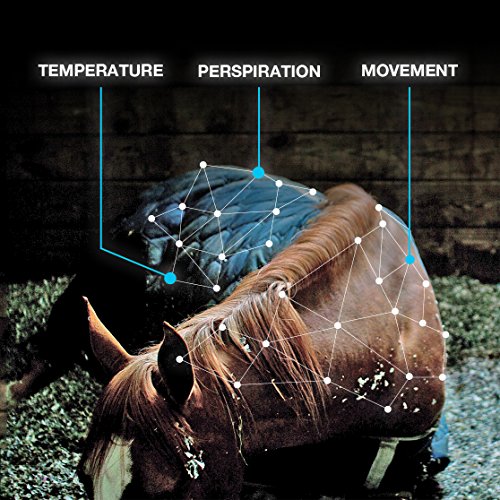 Orscana™ Bluetooth Equine Horse Monitor By Arioneo #TOP5