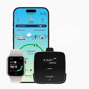 Waggle 4G Cellular Temperature & Humidity Monitor Real-Time App, Email & SMS Alerts, LCD Display, Rechargeable Battery, RV/Camper/Van/Car Monitoring Subscription Required