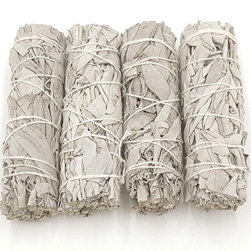 Salie, wit, verpakking van 4 stuks