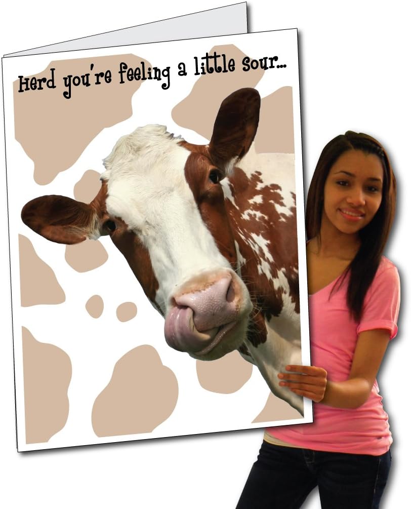 VictoryStore Jumbo Greeting Cards: Giant Get Well Card (Cow), 2 feet x 3 feet Card with Envelope
