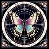 7. Парадоксальная связь (Ilixx Prod.)