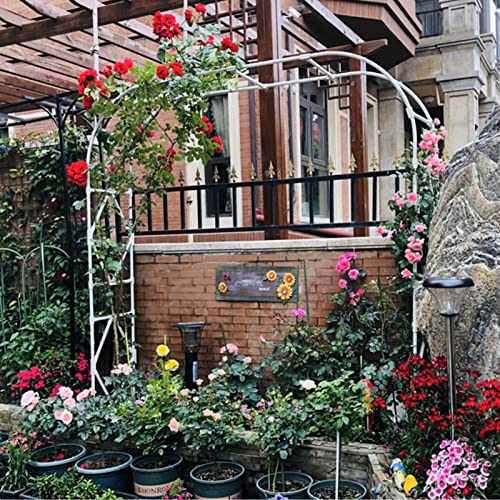 Pergola métallique résistante aux intempéries contre le vent de 280cm