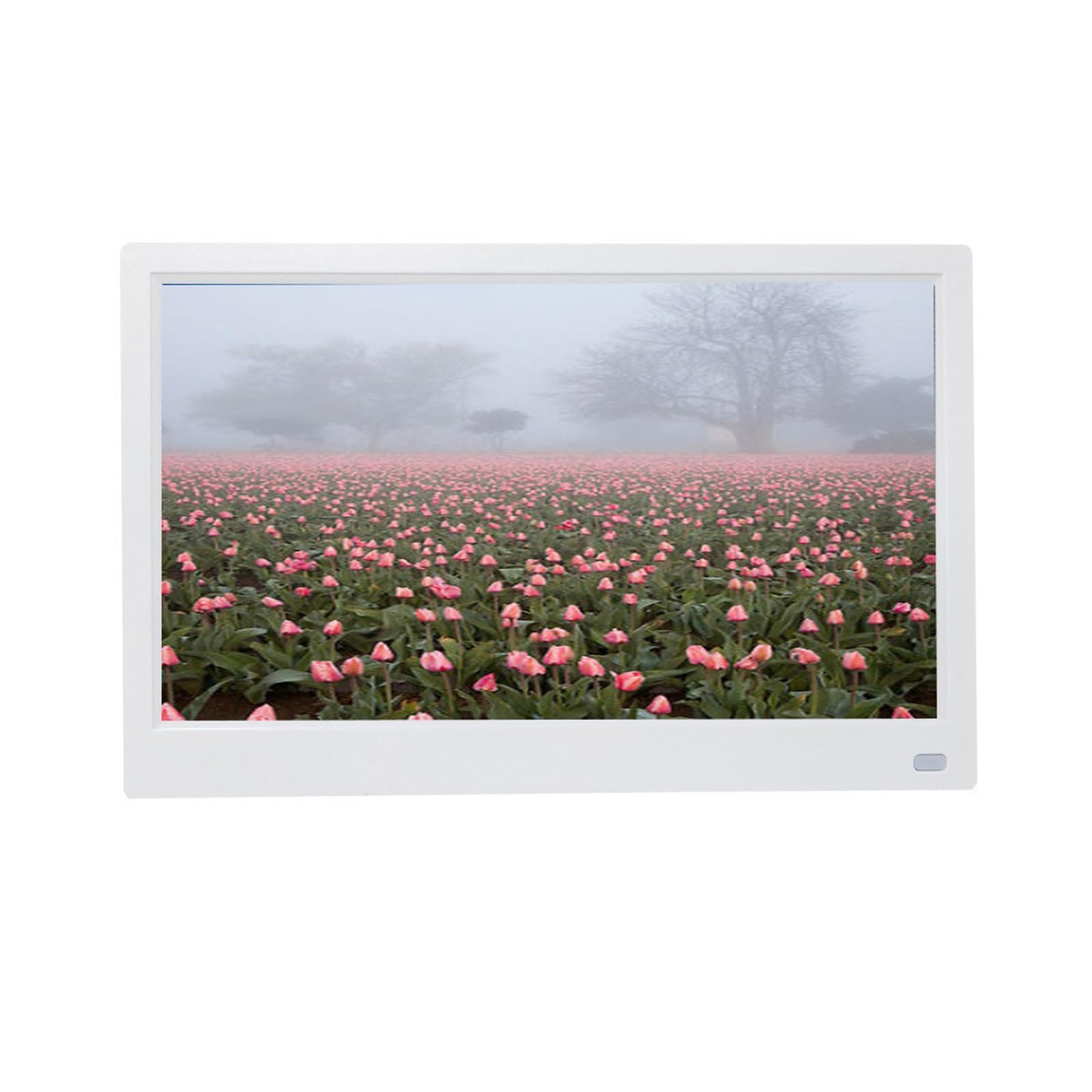 MYUYEE 17.3-Inch Wifi Ips Full-View Digital Photo Frame - Electronic Photo Album (White)
