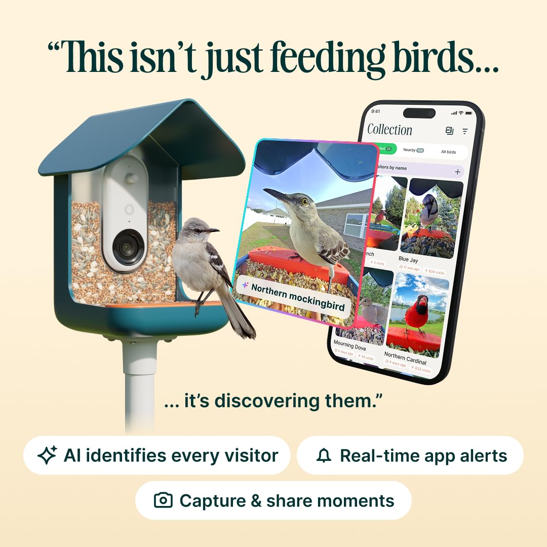 Birdbuddy ソーラールーフ付スマートバードフィーダー 【公式